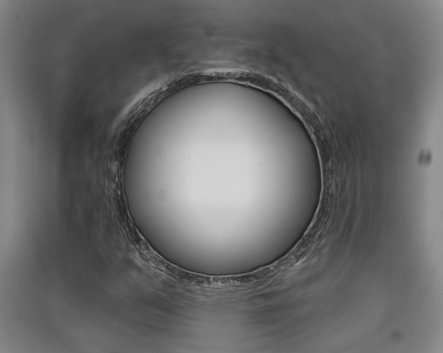 X0000091511351200708170941