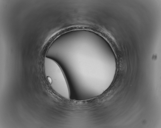 X0000091511352200708170941