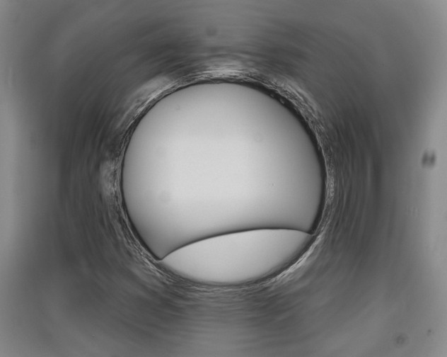 X0000091511353200708170941