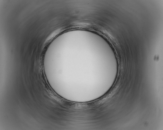 X0000091511354200708170941