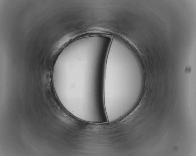 X0000091511355200708170941