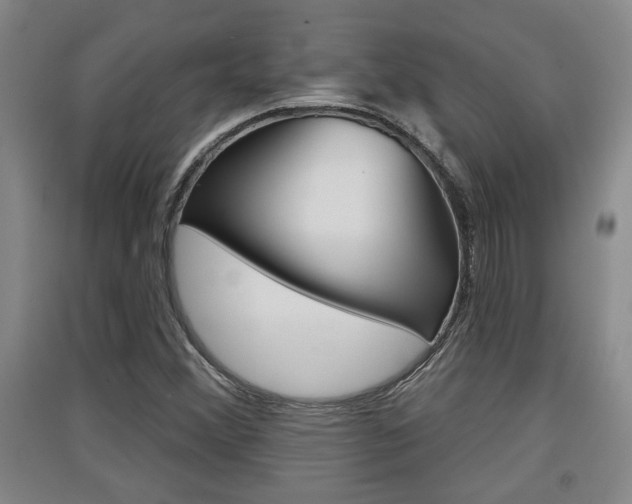 X0000091511356200708170941