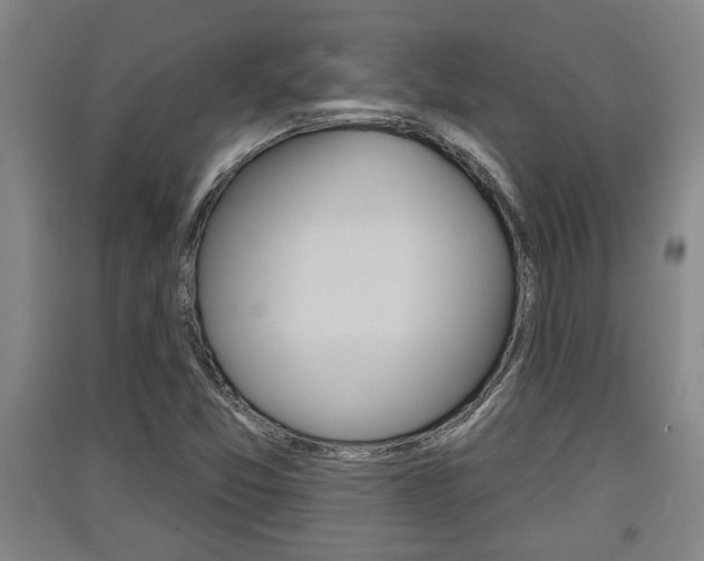 X0000091511357200708170941