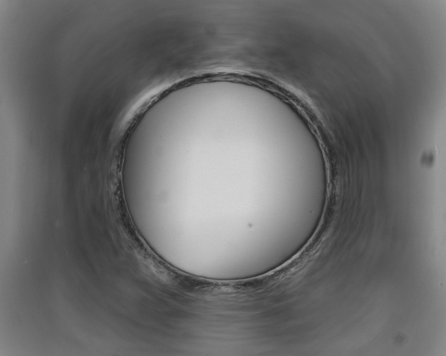 X0000091511359200708170941