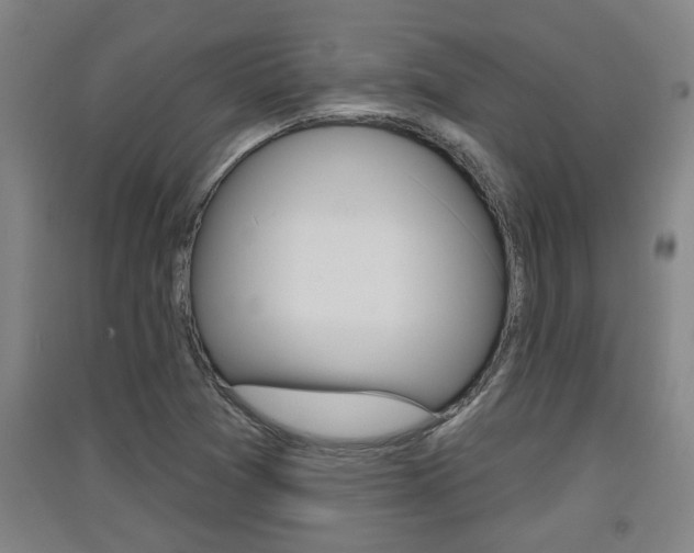 X0000091511361200708170941