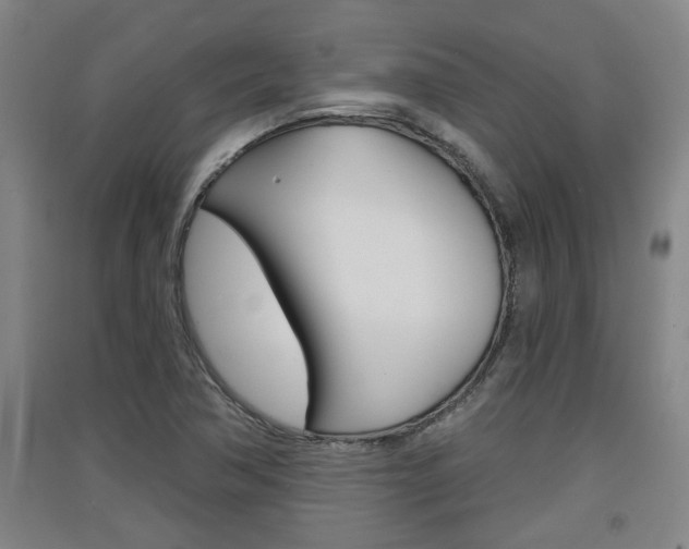 X0000091511362200708170941