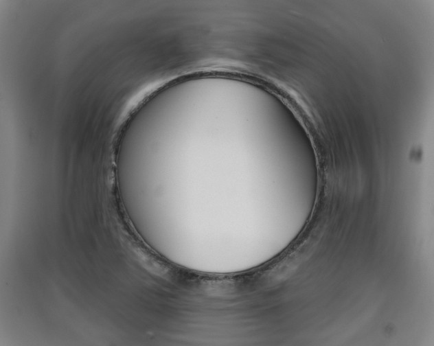 X0000091511363200708170941