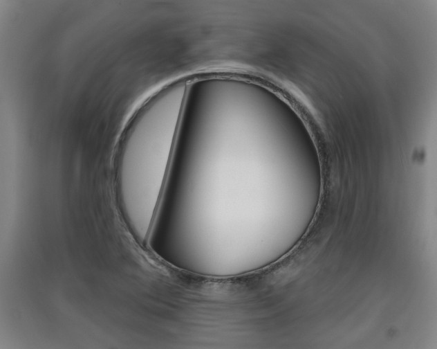 X0000091511364200708170941