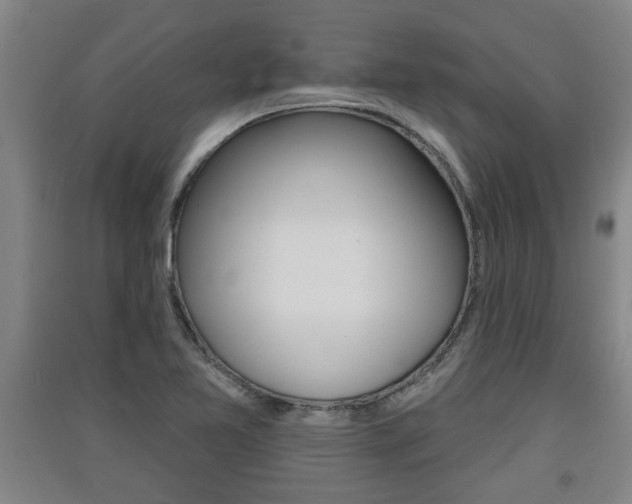 X0000091511365200708170941