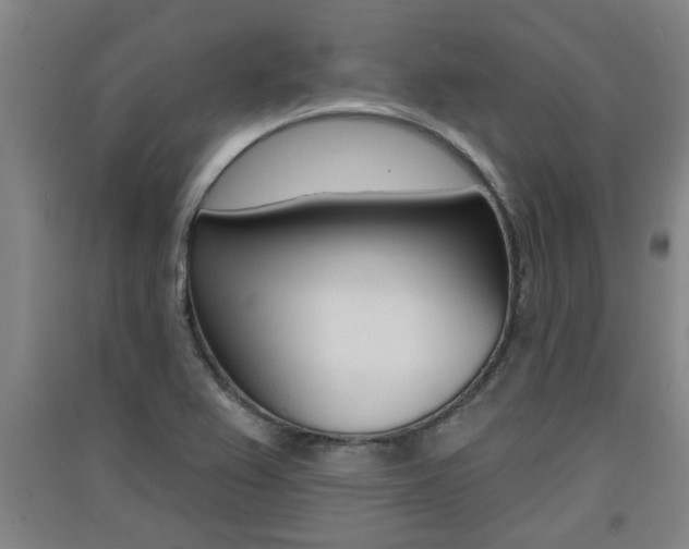 X0000091511367200708170941
