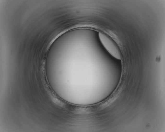 X0000091511369200708170941