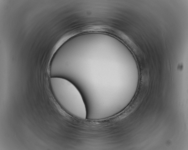 X0000091511370200708170941