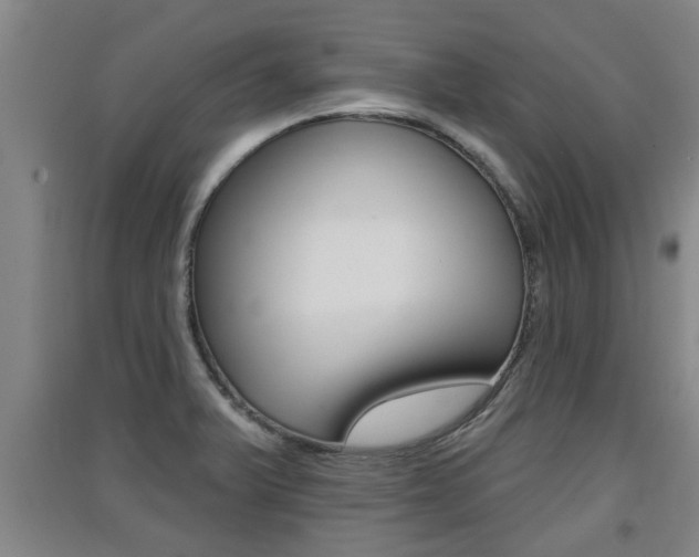 X0000091511375200708170941