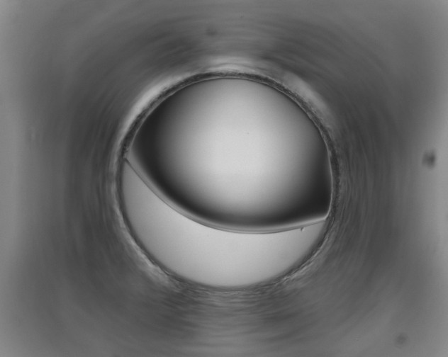 X0000091511376200708170941