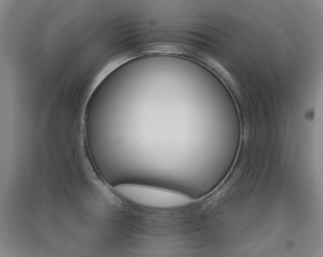 X0000091511378200708170941