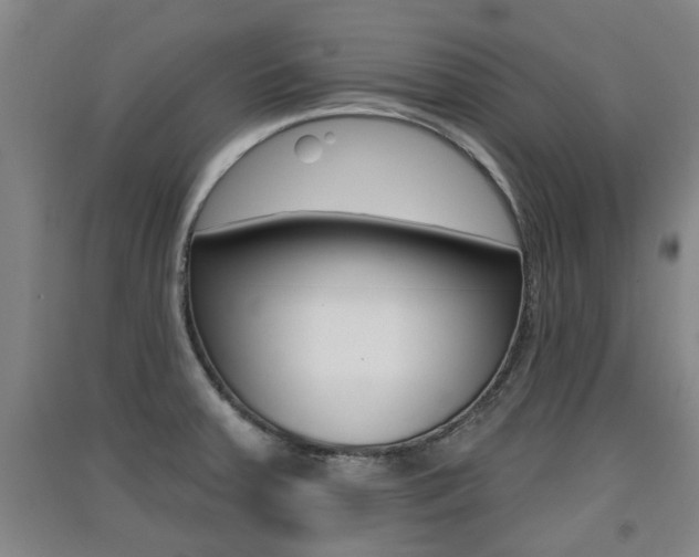 X0000091511379200708170941