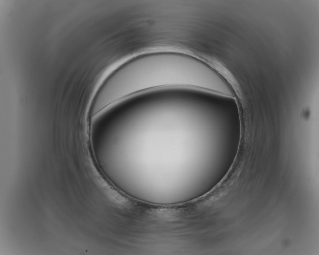 X0000091511380200708170941