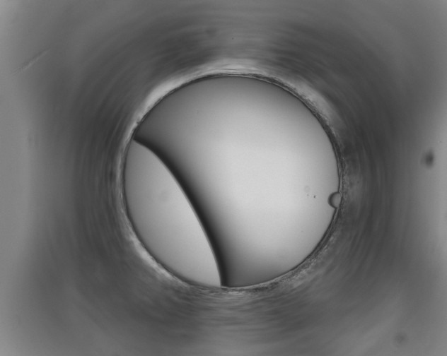 X0000091511382200708170941