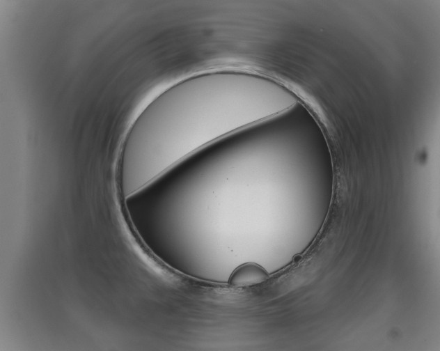 X0000091511383200708170941
