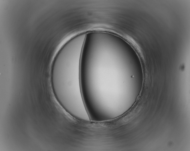 X0000091511384200708170941