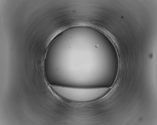 X0000091511385200708170941