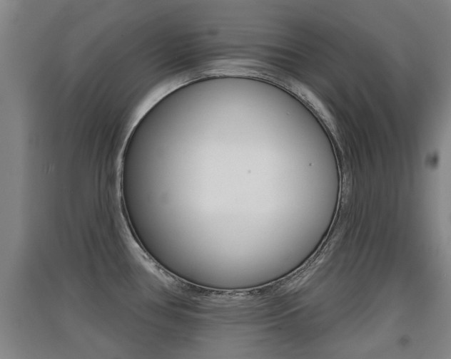 X0000091511386200708170941