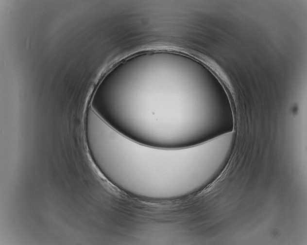 X0000091511388200708170941