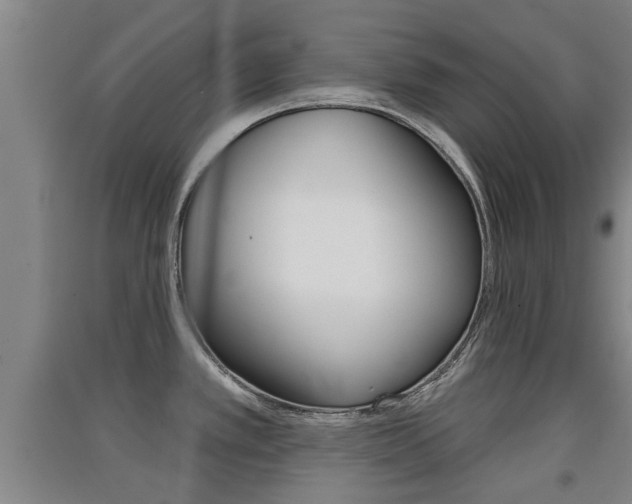 X0000091511389200708170941