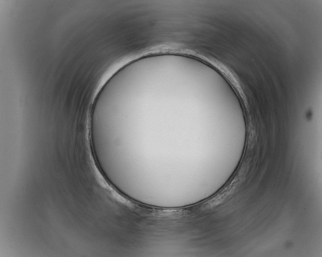 X0000091511390200708170941