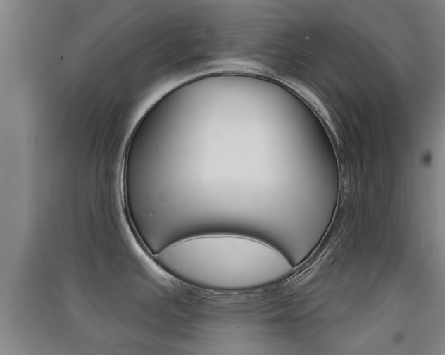 X0000091511391200708170941