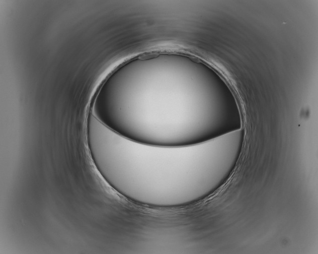 X0000091511392200708170941