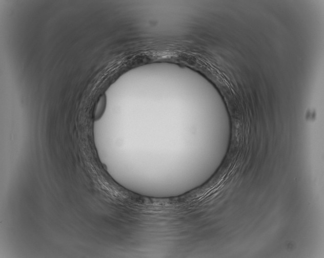 X0000091511393200708170940