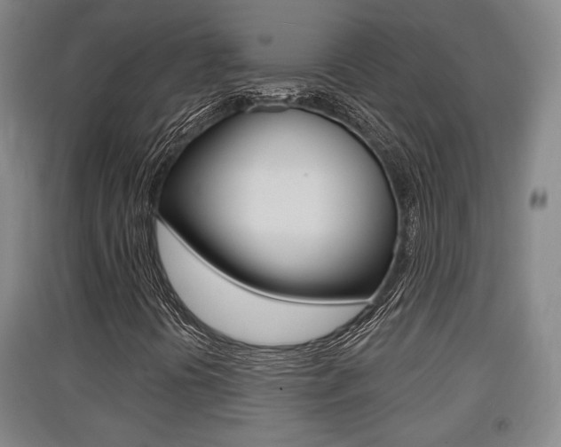 X0000091511394200708170940
