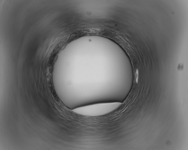 X0000091511395200708170940