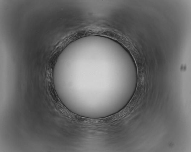 X0000091511397200708170940