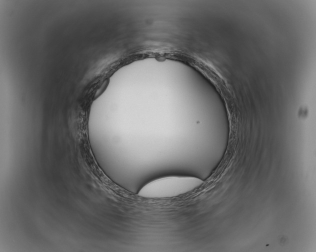 X0000091511399200708170940