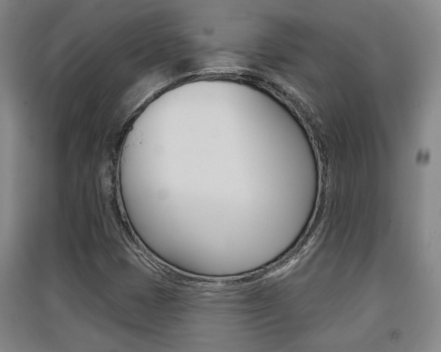 X0000091511401200708170940