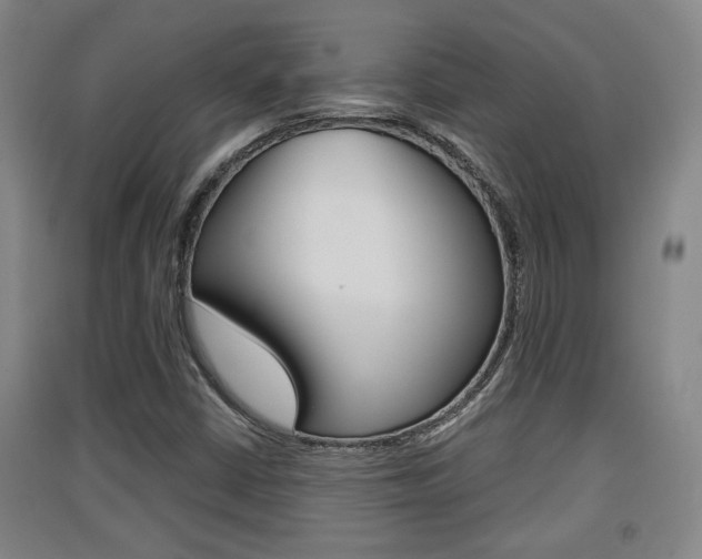 X0000091511402200708170940