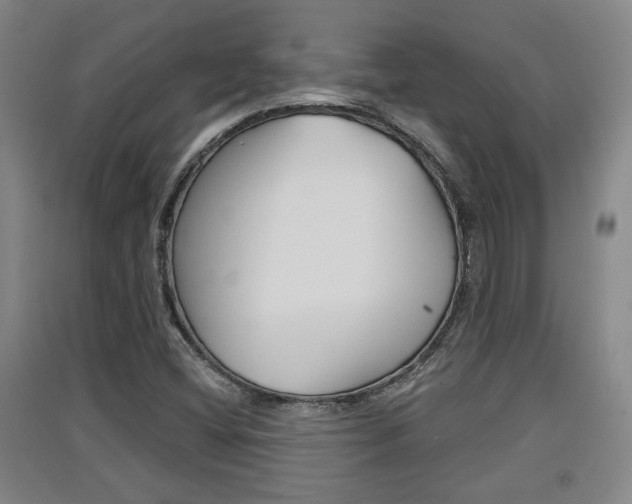 X0000091511404200708170940