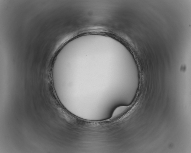 X0000091511405200708170940