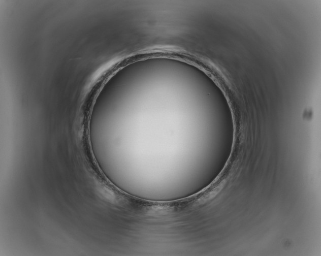 X0000091511406200708170940