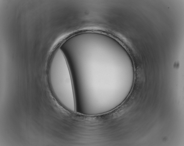 X0000091511408200708170940