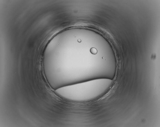 X0000091511409200708170940