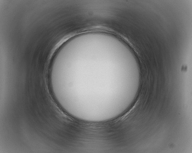 X0000091511410200708170940