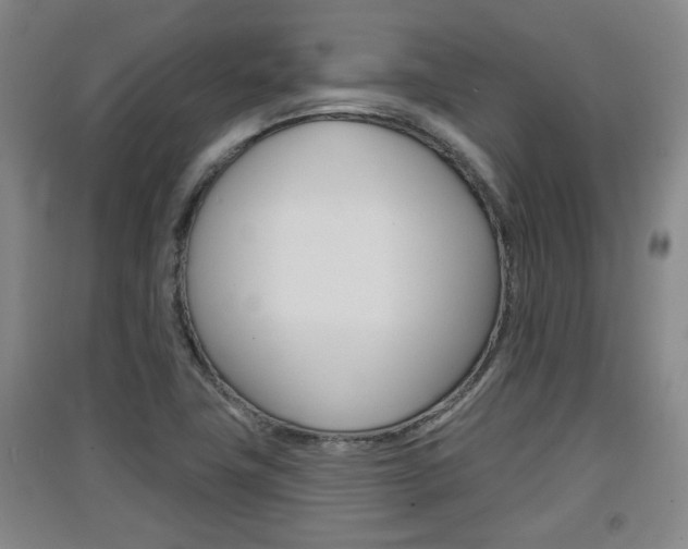 X0000091511411200708170940