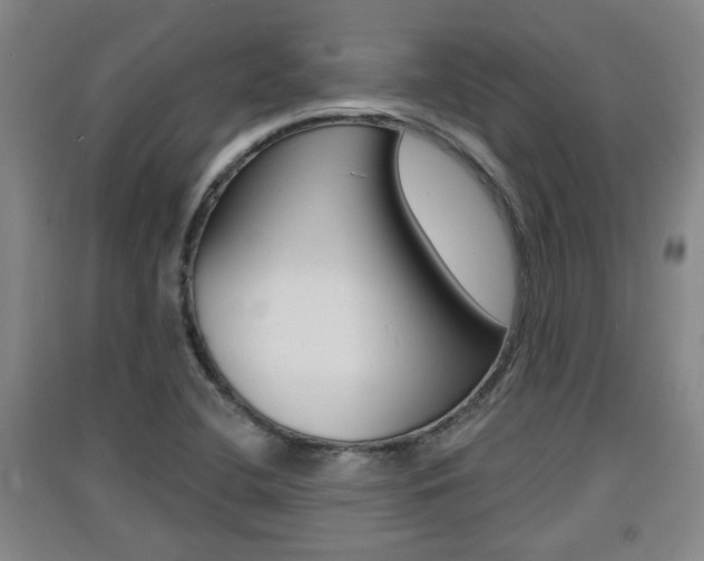 X0000091511412200708170940