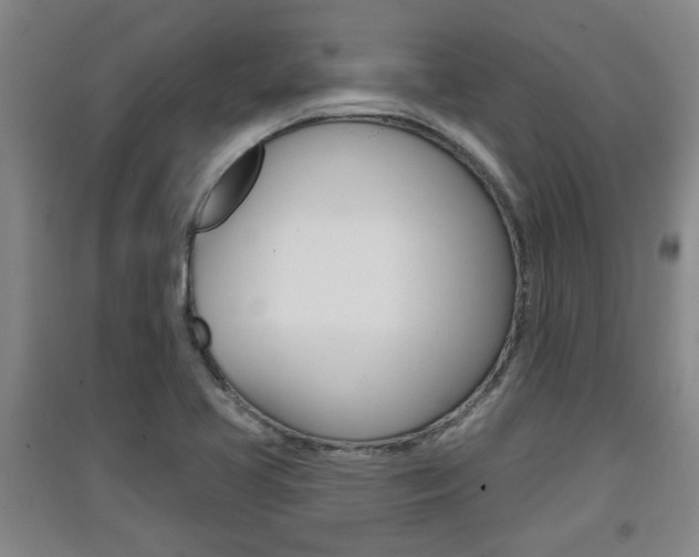 X0000091511413200708170940