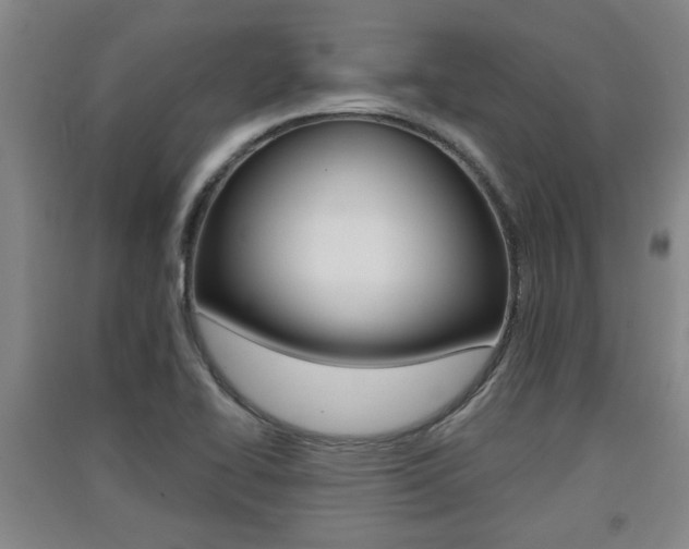 X0000091511414200708170940