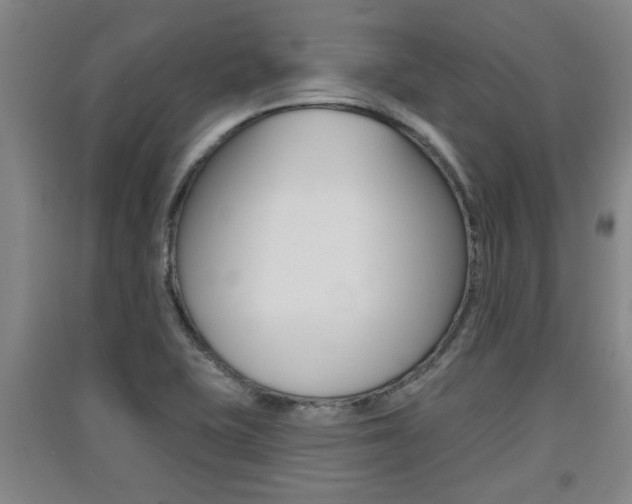 X0000091511415200708170940