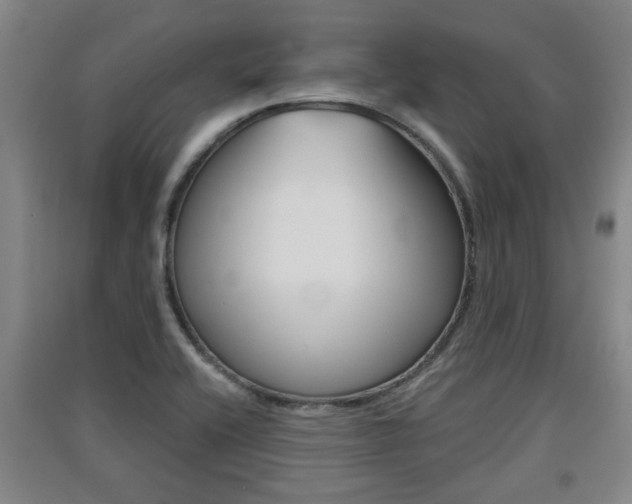 X0000091511416200708170940